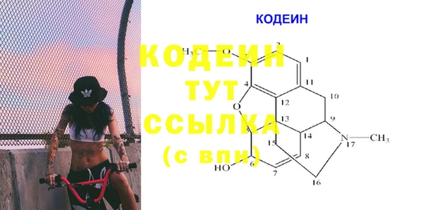 крисы Елабуга
