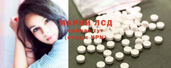 крисы Елабуга
