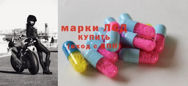 крисы Елабуга
