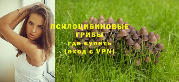 крисы Дмитриев