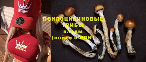 Альфа ПВП Ельня