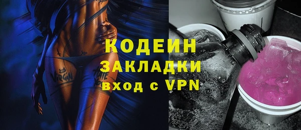 крисы Елабуга