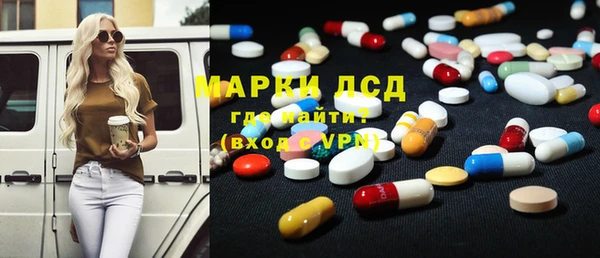 крисы Елабуга
