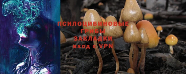 Альфа ПВП Ельня