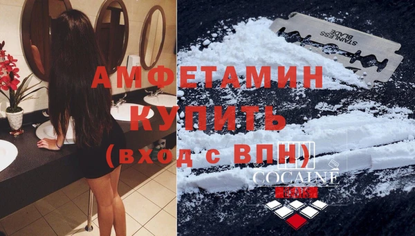 крисы Елабуга