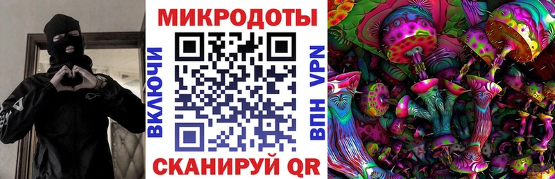 OMG как войти хочу Изобильный Псилоцибиновые грибы GOLDEN TEACHER