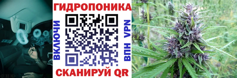 Каннабис ГИДРОПОН  Изобильный 